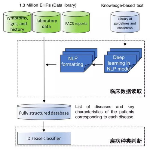 中國(guó)AI登上Nature子刊 讀懂病歷、推薦診斷，準(zhǔn)確度超越人類醫(yī)生